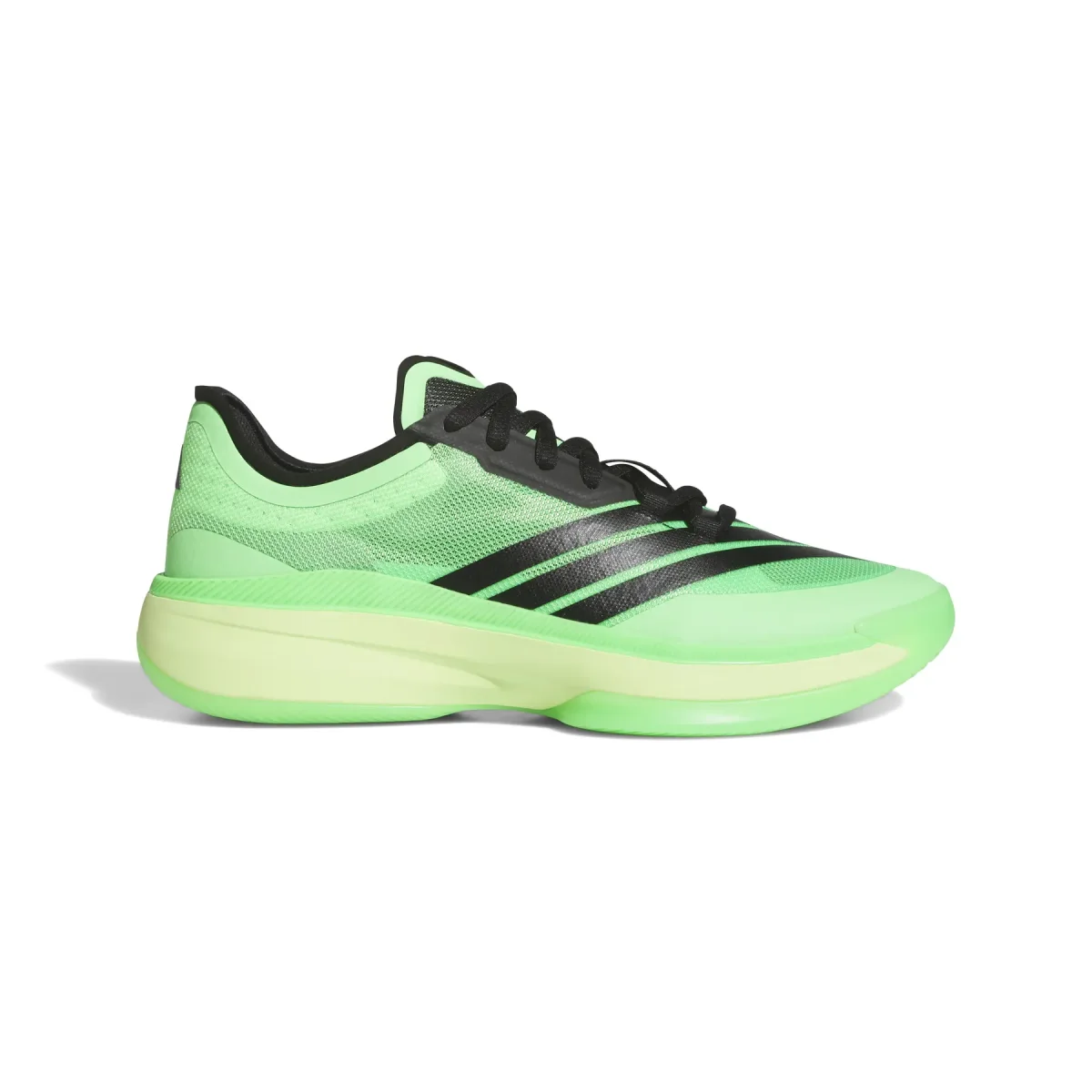 Adidas Baskets adidas Adizero Select 3.0